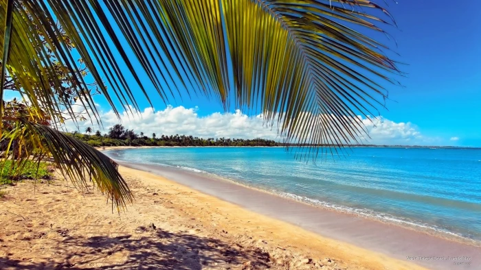 Vacia Talega Beach Puerto Rico Beaches 2k