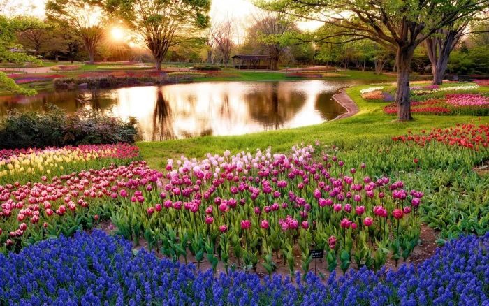 background nature image plant flower beauty in 2k