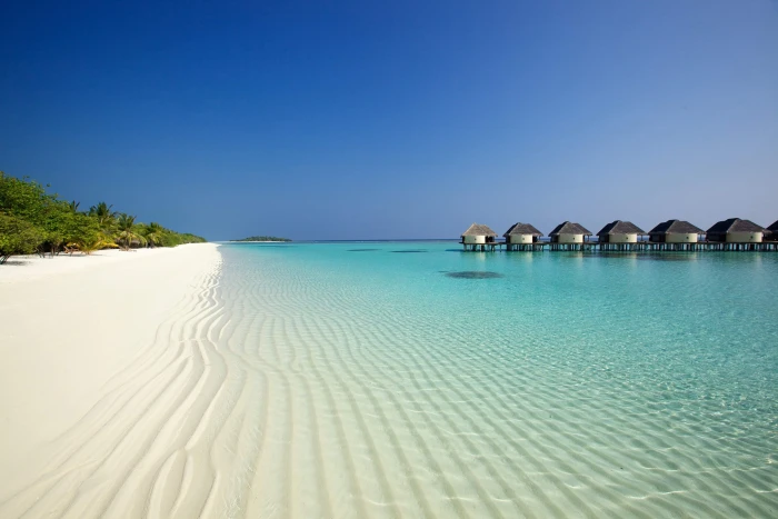 beach ocean sand palm trees bungalows 2k 4k 5k