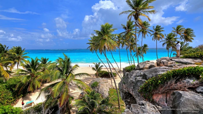 Bottom Bay Palm Beach Barbados Lesser Antilles West Indies 2k