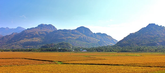 brown mountains during daytime South Nature Land Portrait 2k