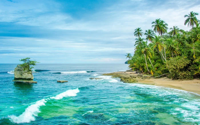 Costa Rica Wild Caribbean Beach In Manzanillo Sandy Ocean Waves Palm Trees 2k