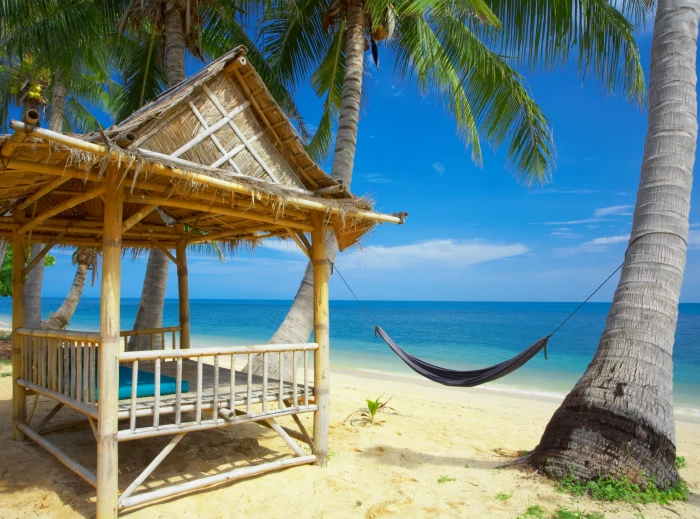 Hammock On The Beach black hammock Travel Islands sea palm tree 2k