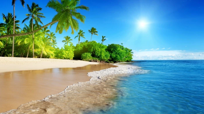Hawaiian Beach Trees Palm Coast Ocean Waves Sandy Tropical Sun Blue Sky Ultra Hd Wallpaper 2k 4k
