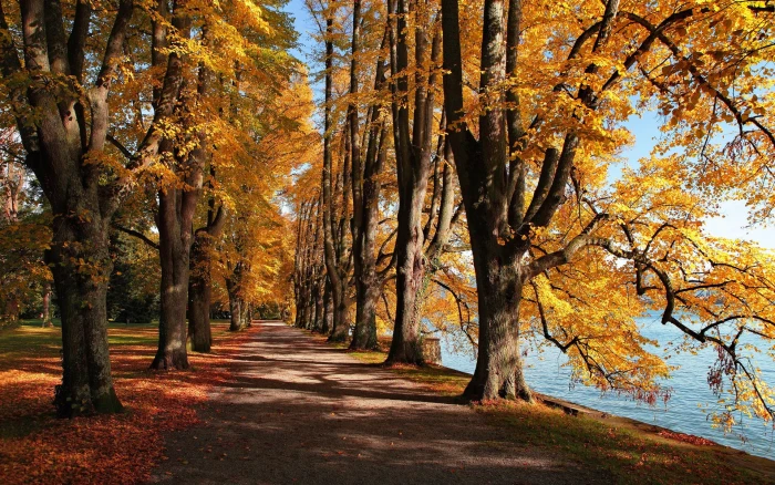 laptop backgrounds nature images 2k