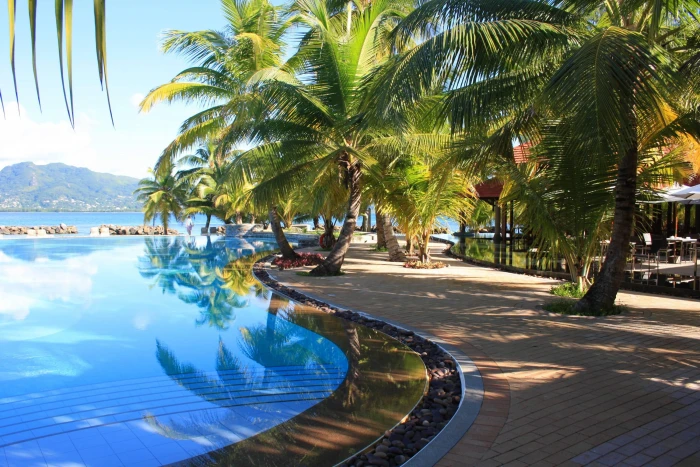 Peaceful Tropical Pool trees island view beach swimming 2k