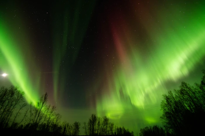 photo of Aurora lights Watching Wickersham Dome Borealis 2k 4k 5k