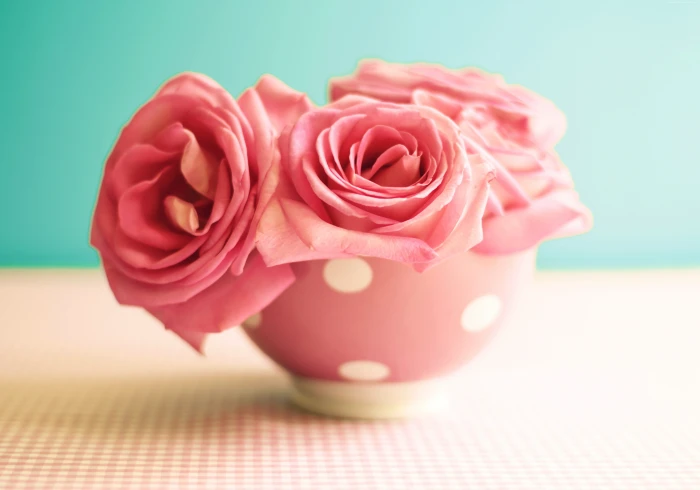 pink mug flowers Roses 2k 4k 5k