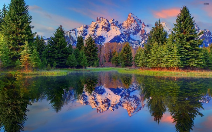 reflective photography of snow mountain with trees Reflection 2k