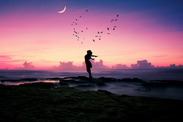 sea beach girl happiness sunset birds pose stones mood 2k 4k