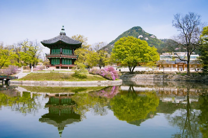 seoul south korea gyeongbokgung palace travel traditional 2k