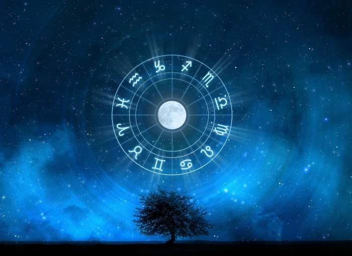 Signs of the Zodiac in starry sky tree night nature circle 2k 4k