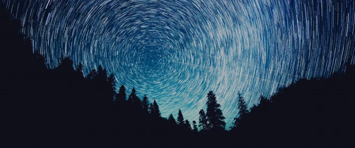 silhouette of trees under night sky ultrawide landscape nature 2k