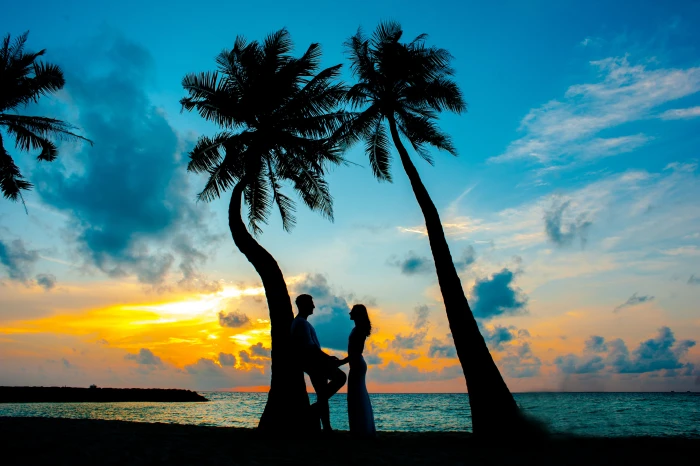 Silhouette Photo of Male and Female Under Palm Trees affair 2k 4k