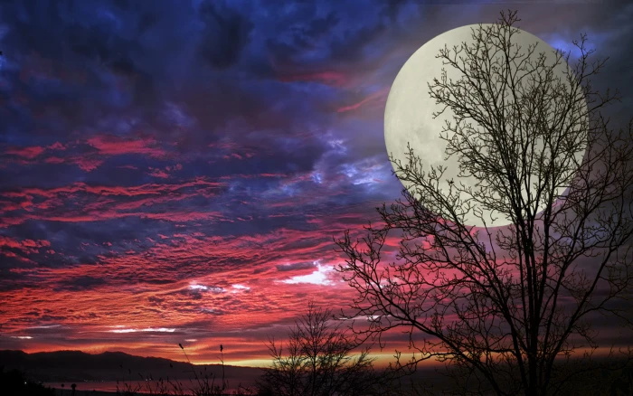 Super Moon Hd Wallpapers For Mobile Phones And Laptops 2k 4k