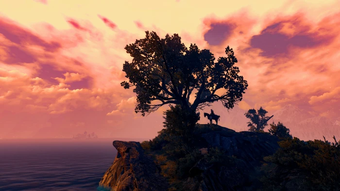 The Witcher 3 Wild Hunt 2k 4k