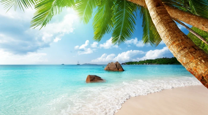 beach new hd for desktop sea tropical climate water 2k 4k