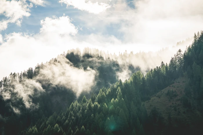 Beautiful Morning Mountain Forest Scenery clouds fog fresh air 2k 4k 5k