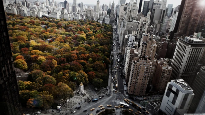 Central Park New York photo buildings aerial photography architecture 2k 4k