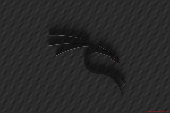 gray dragon wall decor Linux Kali NetHunter Fuzion Extreme 2k