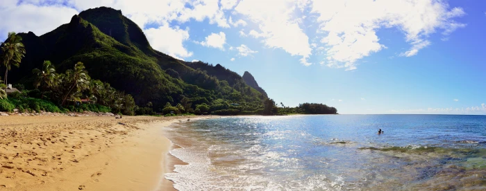 landscape nature Hawaii island beach 2k 4k