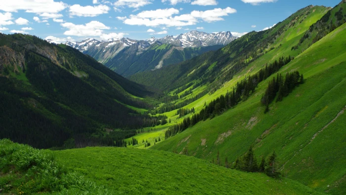 mountainous landforms grassland barkley valley nature vegetation 2k 4k