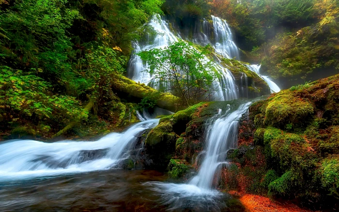 Natural Beauty Panther Creek Falls Columbia River District Skamejnija Washington Usa Hd Wallpaper For Laptop And Tablet 2k