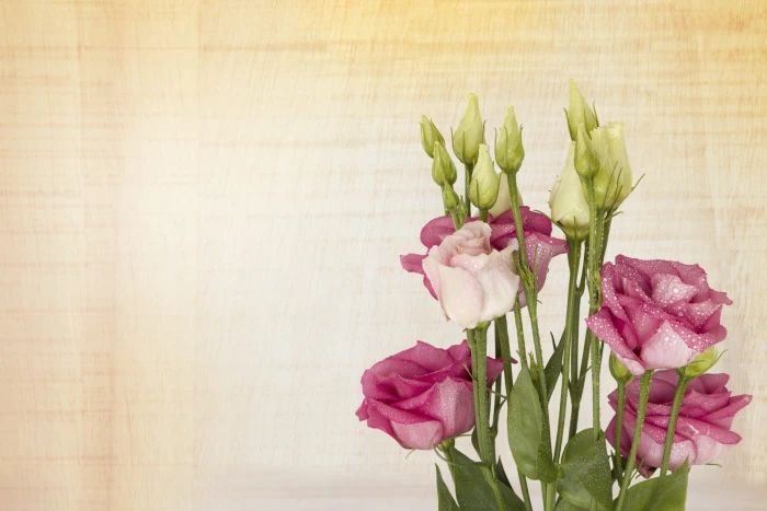 pink and white flowers with green leaf lisianthus floral greeting card 2k 4k 5k