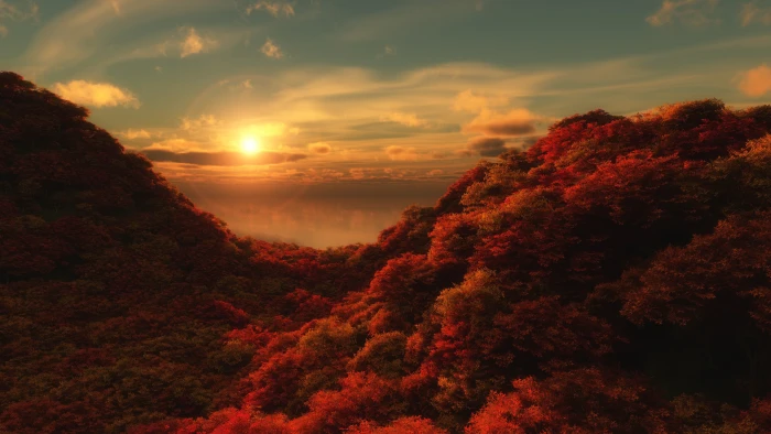 red leafed tree forest during golden hour fall landscape 2k 4k