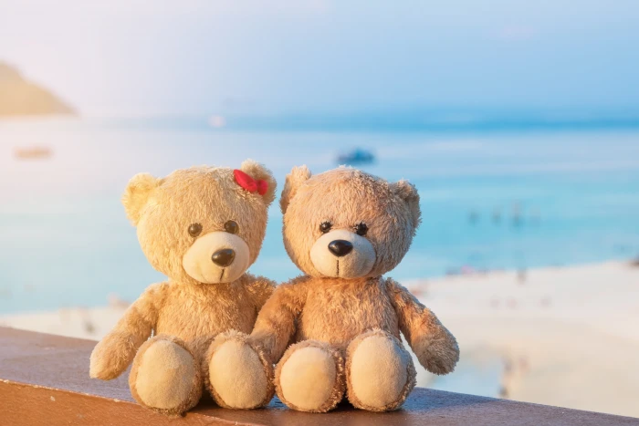 sand sea beach love toy bear pair two romantic couple 2k 4k 5k