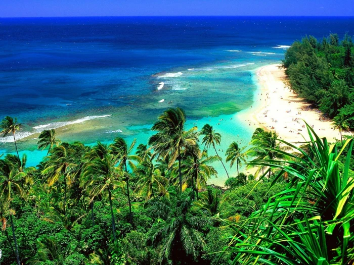 sea beach water plant beauty in nature scenics 2k