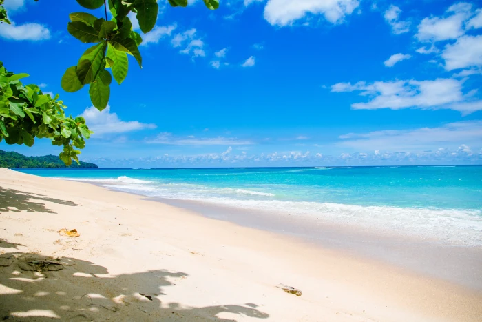 seashore and calm sea under blue sky ocean waves cumulus clouds 2k 4k 5k