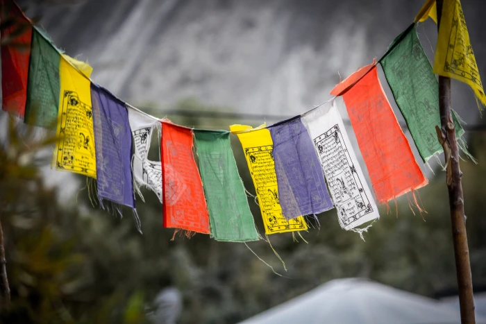 selective focus photography of banners Ladakh India cultures 2k 4k 5k