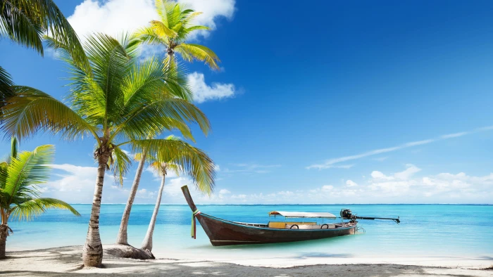 Thailand beach palms trees sea boat 76 2k 4k