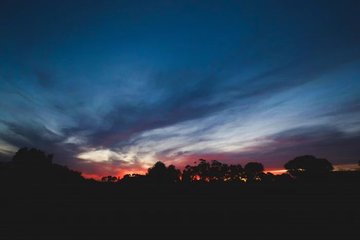 trees during sunrise silhouette dark sky clouds sunset nature 2k 4k 5k
