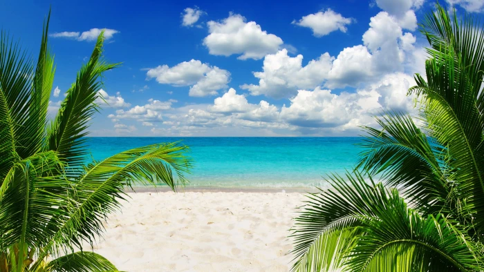 Tropical Paradise sunshine beach coast Sea sky blue emerald 2k