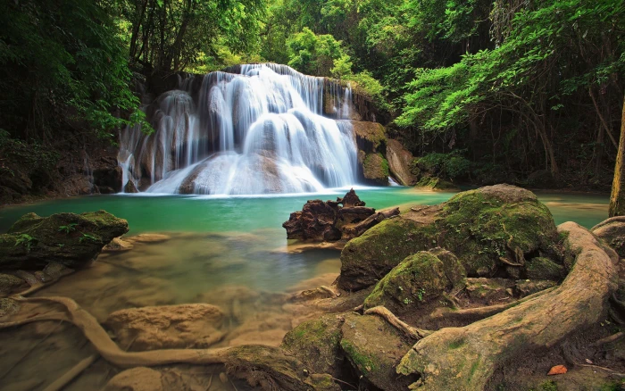 Waterfall Pond Rocks Stones Moss Timelapse Jungle Forest Trees HD 2k