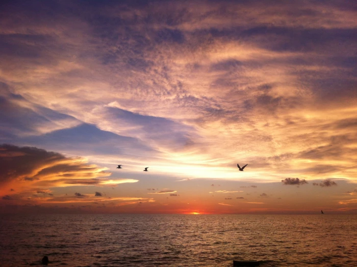 atardecer playa cielo mar beach sol arena costa paisaje 2k