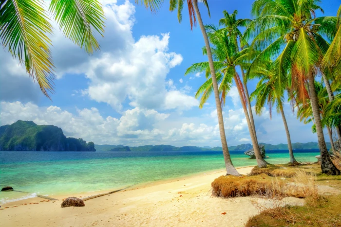 Blue ocean and beach tropical paradise coast Sea emerald 2k