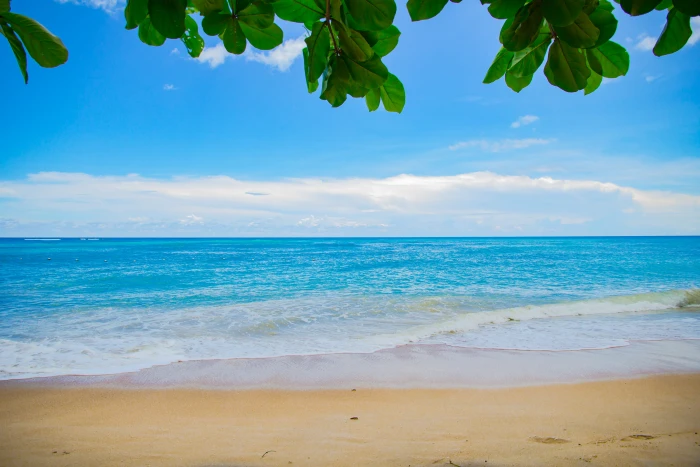 blue sea water and with brown sand body of illustration 2k 4k 5k