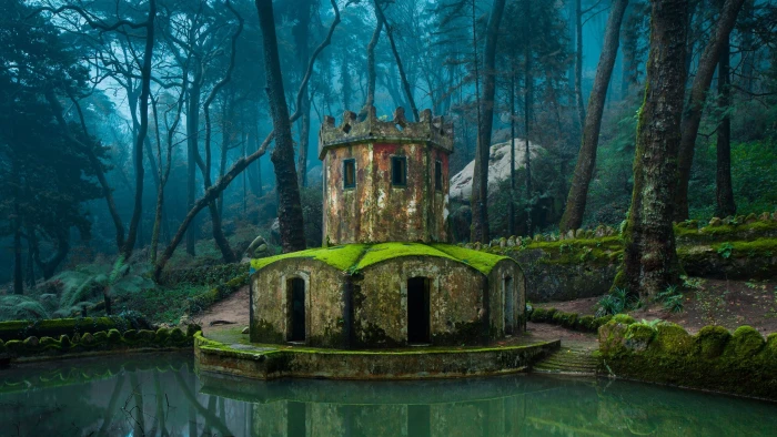 body of water nature architecture forest old building lake 2k 4k
