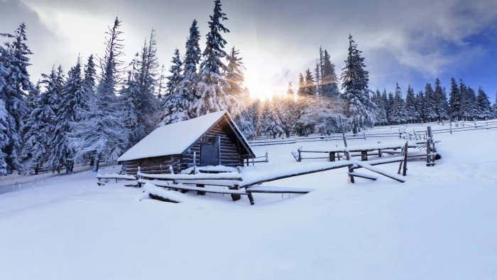 brown wooden house surrounded by pine trees winter forest 2k 4k 5k