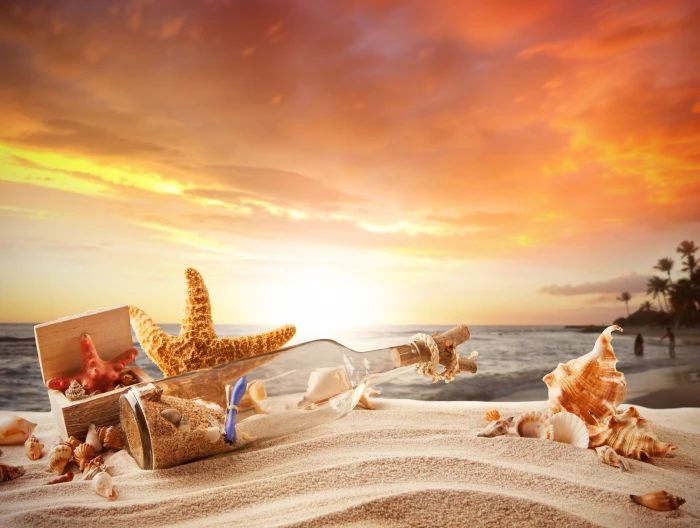 clear glass bottle and brown starfish sand sea beach stars 2k 4k 5k