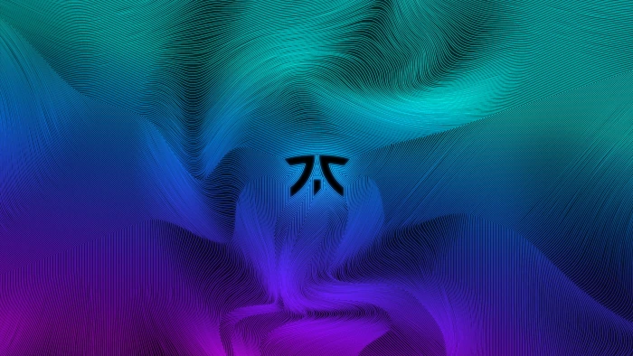 Fnatic esport abstract minimalism 2k