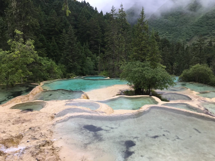 Jiuzhaigou Scenery Huanglong Scenic sichuan tree nature forest 2k 4k