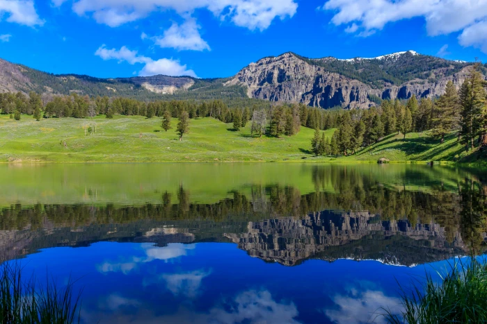landscape photography of green grass field next to body water trout lake yellowstone national park usa 2k 4k