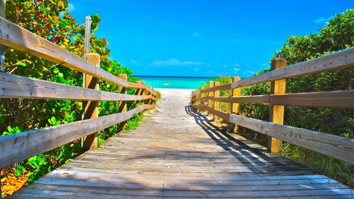 miami walkway beach sky boardwalk tree plant usa leisure 2k 4k