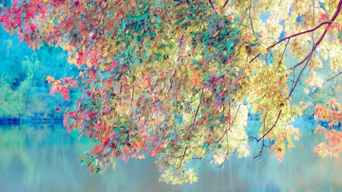 nature texture pattern design wallpaper art grunge colorful 2k 4k