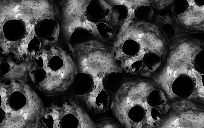 Scary skulls HD 2k 4k