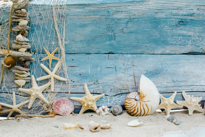seashells decor lot sand beach stars wood marine starfishes 2k